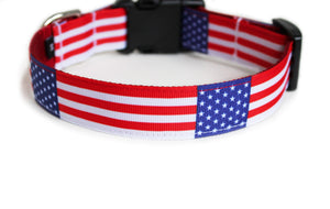 Backside of the dog collar, displaying the American flag pattern repeating itself along the collar