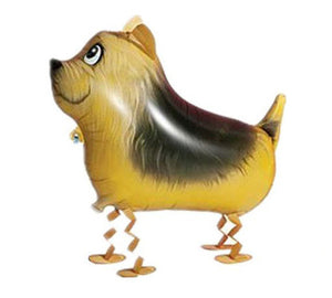 A cute balloon that looks just like a Silky Terrier, featuring legs that look like they are walking when the balloon is filled with helium.