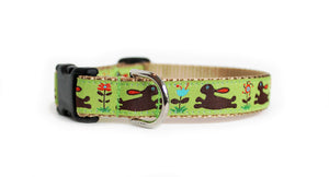 Bunnies Dog Collar