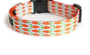 The back of the Carrot Patch Dog Collar, displaying the pattern repeating itself along the length of the collar.