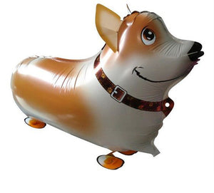 A cute balloon that looks just like a Corgi, featuring legs that look like they are walking when the balloon is filled with helium.