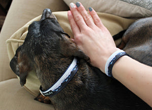 Bracelet designed to match your dog's collar, featuring elegant magnetic closure.