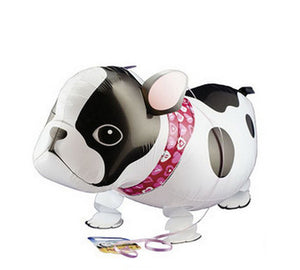 A cute balloon that looks just like a black and white French Bulldog, featuring legs that look like they are walking when the balloon is filled with helium.