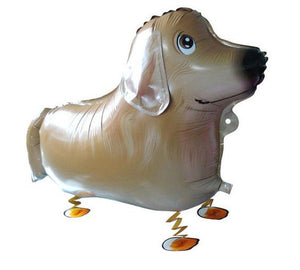 A cute balloon that looks just like a yellow Labrador Retriever, featuring legs that look like they are walking when the balloon is filled with helium.