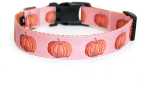 The back of the Harvest Pumpkin Dog Collar in rose tan, showing the pattern repeating along the collar.