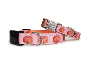 Harvest Pumpkin Dog Collar in soft pink with realistic-looking pumpkins along the length of the collar and optional aluminum personalized buckle, shown with smaller dog collar.