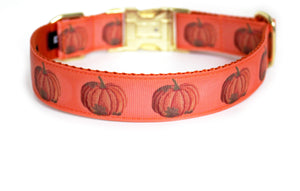 The back of the Harvest Pumpkin Dog Collar in orange, showing the pattern repeating along the collar.