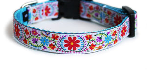 The Joyful Blooms Dog Collar with aqua blue webbing and white trim with a vibrant red, aqua, and purple floral motif, made from soft European trim.