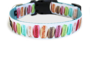 Macaroons Dog Collar