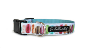 A stylish dog collar with light aqua blue webbing and scratch resistant white trim and colorful, realistic looking macaroons in a line down the length of the collar.