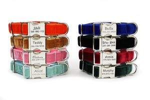 Velvet dog collars shown in eight color choices, including orange, ginger, pink, aqua blue, royal blue, black, red and green with optional engraved aluminum buckle.