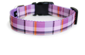 The back of the Plaid Fall Dog Collar, showing the pattern repeating along the length of the collar.