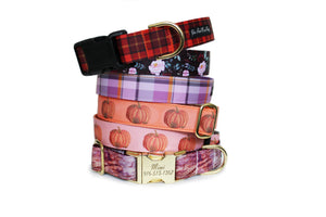 Six dog collars in the Pumpkins and Spice Fall Dog Collar Collection, neatly stacked.