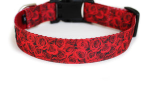 Red Roses Dog Collar