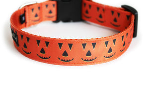 Smiling Pumpkins Dog Collar