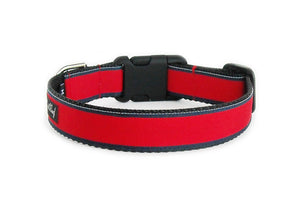 Sweet Boy Dog Collar