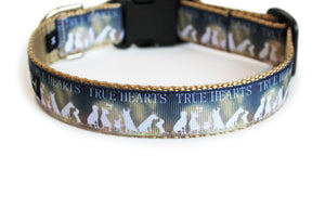 True Hearts Bokah Dog Collar