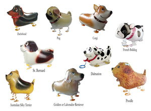 Walking Dog Balloons in 9 Dog Breeds